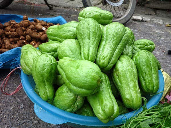 Nằm mơ thấy quả su su đánh con gì