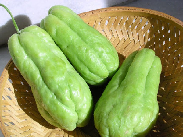Nằm mơ thấy quả su su có ý nghĩa điềm báo gì, đánh con gì