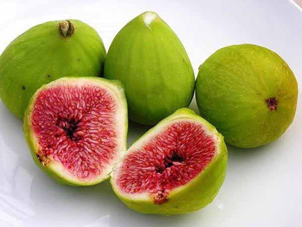 Nằm mơ thấy quả sung có điềm báo gì, đánh con gì ăn chắc